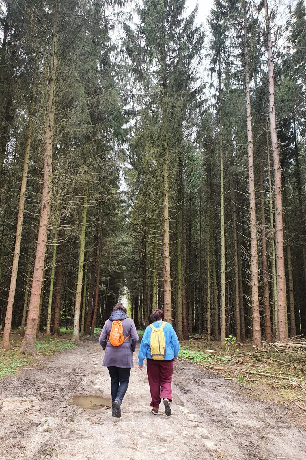 oefenwandeling nacht van de vluchteling