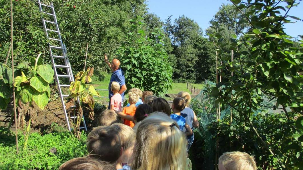 voedselbos in het groene hart