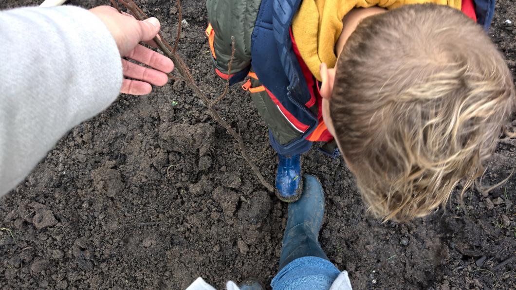 Aanleg tiny forest Gevers van Endegeeststraat