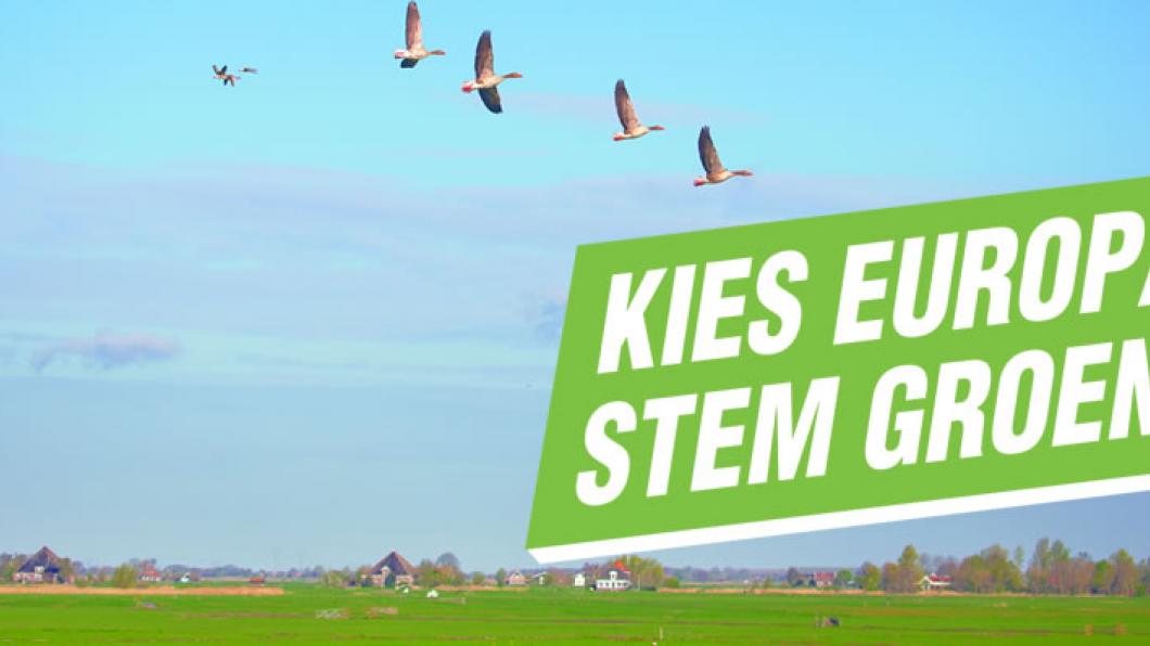 Kies Europa, stem Groen!